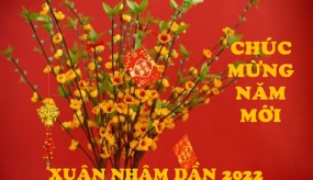 NGÓI MÀU NIPPON GS MỪNG XUÂN NHÂM DẦN - Thông báo nghỉ Tết Nguyên Đán 2022